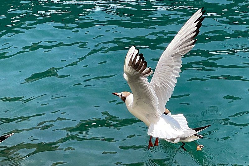 Fotografie Alfons Weber
