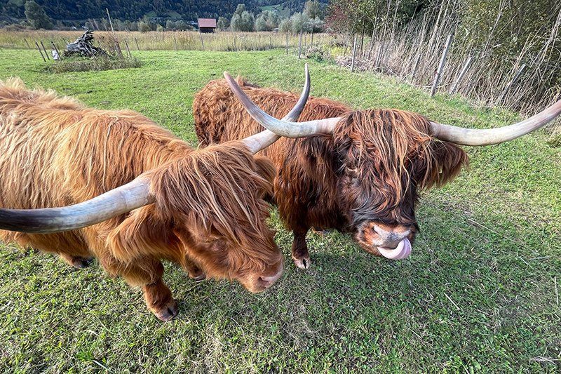 Fotografie Alfons Weber
