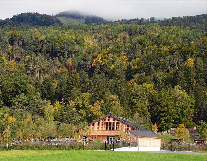 Fotografie Alfons Weber
