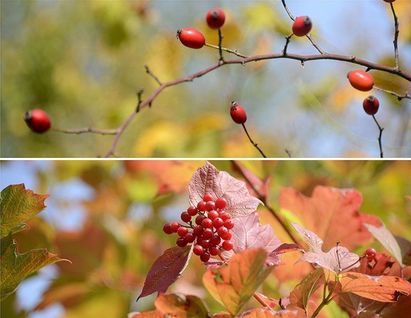 Fotografie Alfons Weber
