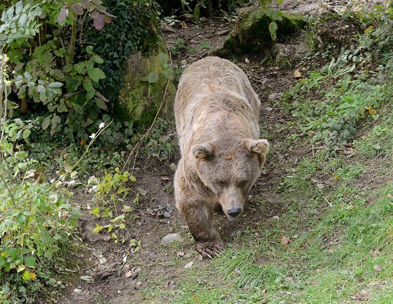 Fotografie Alfons Weber

