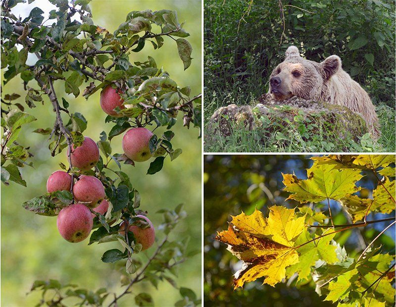 Fotografie Alfons Weber
