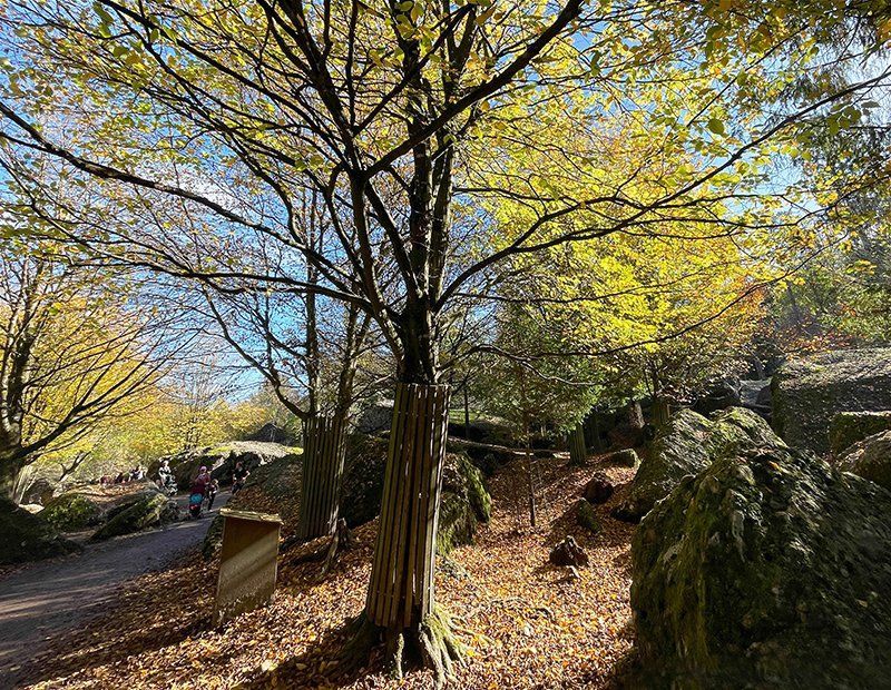 Fotografie Alfons Weber
