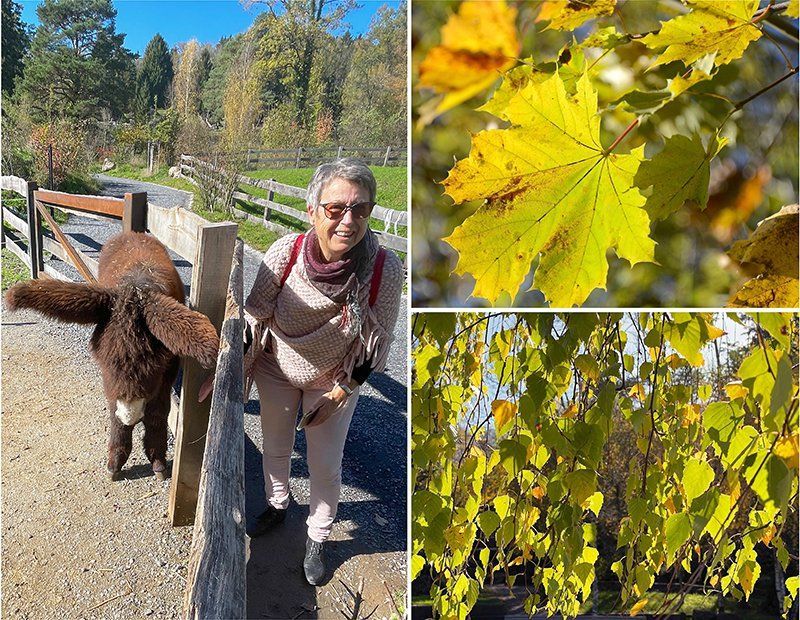 Fotografie Alfons Weber
