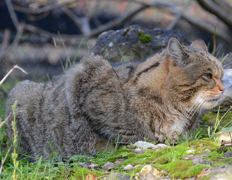 Fotografie Alfons Weber
