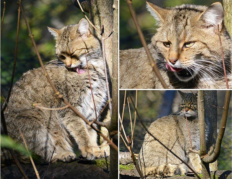 Fotografie Alfons Weber
