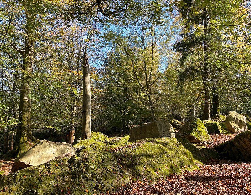 Fotografie Alfons Weber
