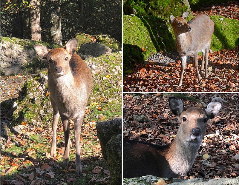 Fotografie Alfons Weber
