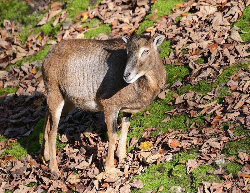 Fotografie Alfons Weber
