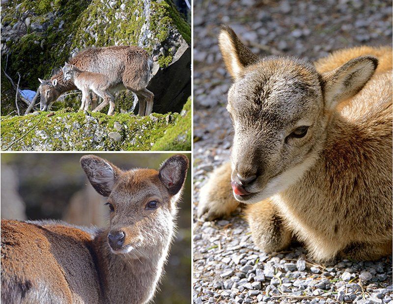Fotografie Alfons Weber
