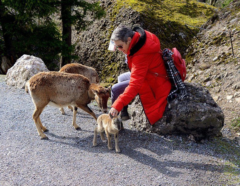 Fotografie Alfons Weber

