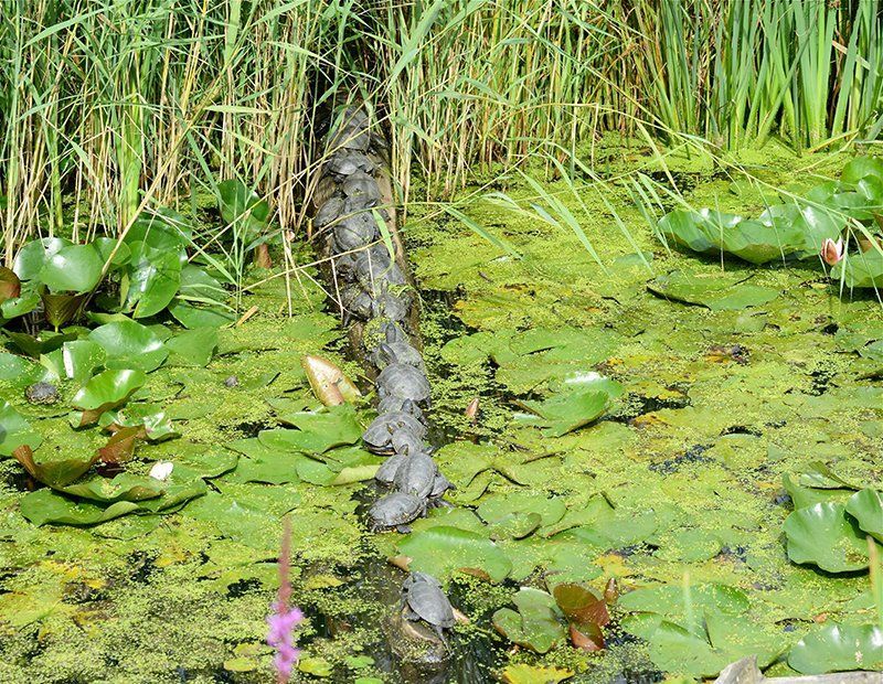 Fotografie Alfons Weber
