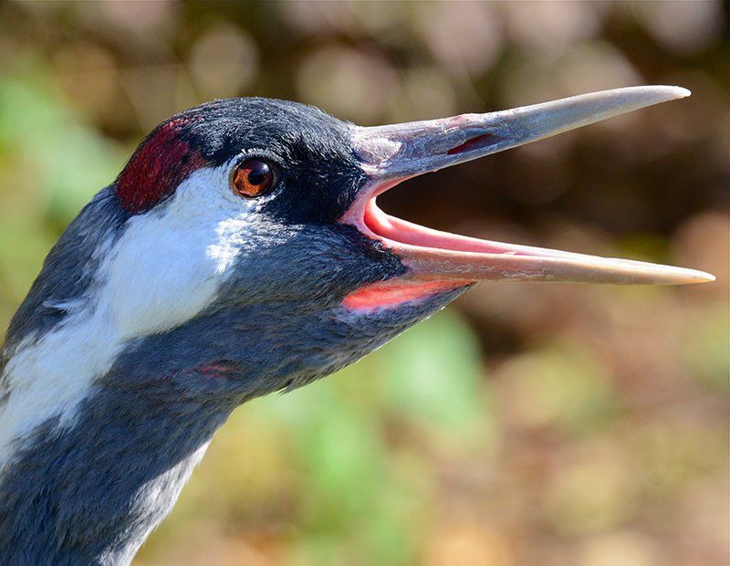 Fotografie Alfons Weber
