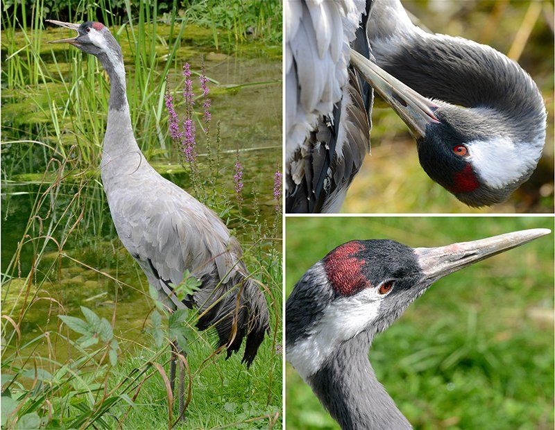 Fotografie Alfons Weber

