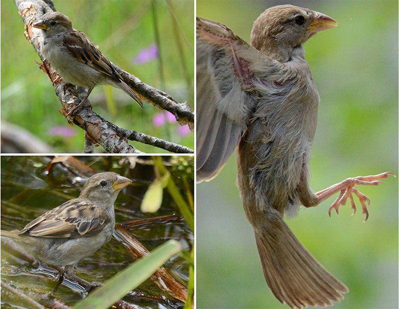Fotografie Alfons Weber
