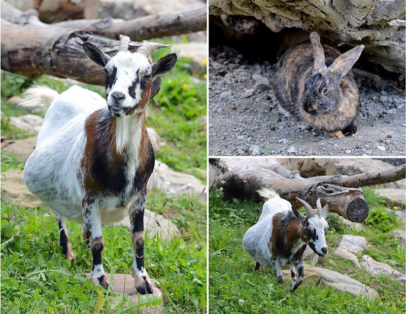 Fotografie Alfons Weber
