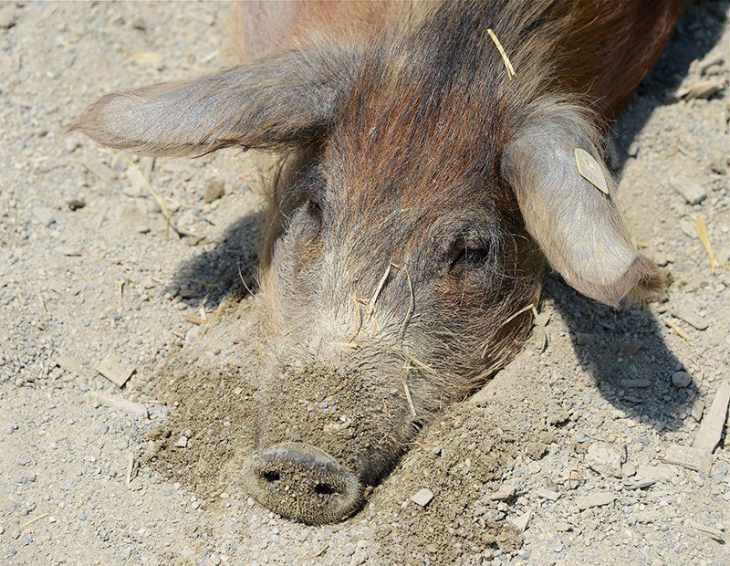 Fotografie Alfons Weber
