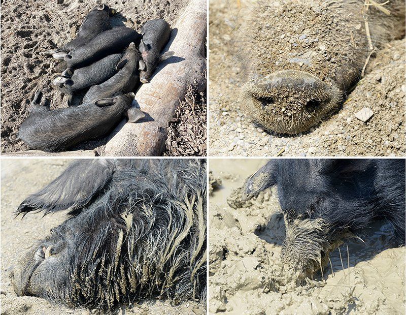 Fotografie Alfons Weber
