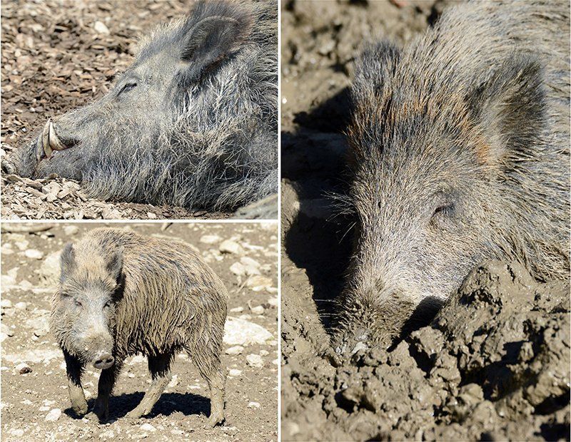 Fotografie Alfons Weber
