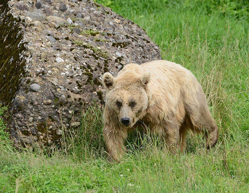 Fotografie Alfons Weber
