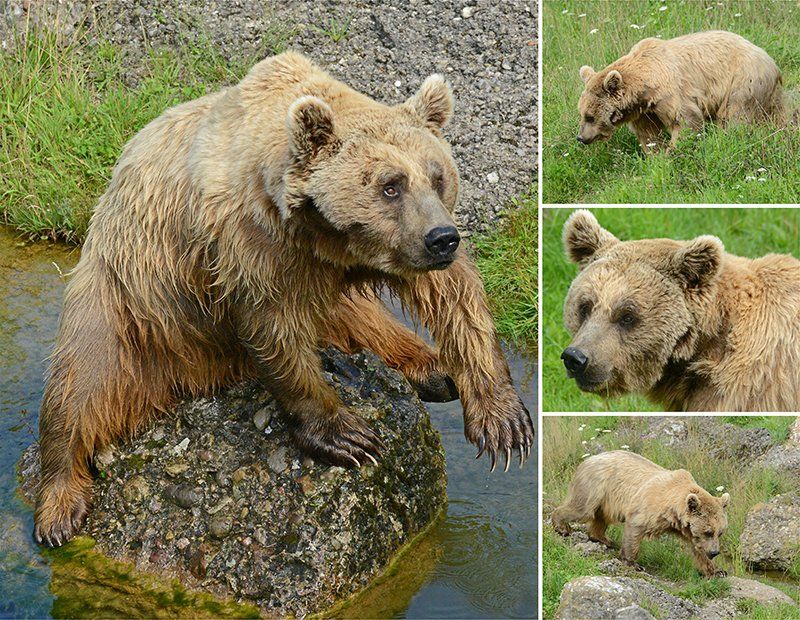 Fotografie Alfons Weber
