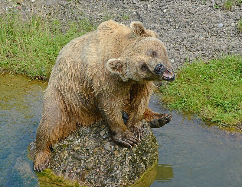Fotografie Alfons Weber
