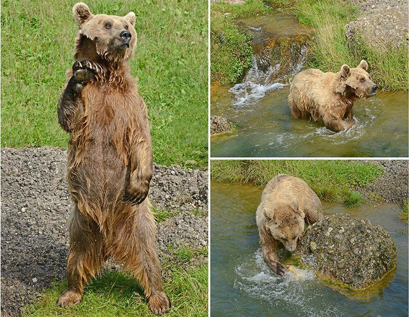 Fotografie Alfons Weber
