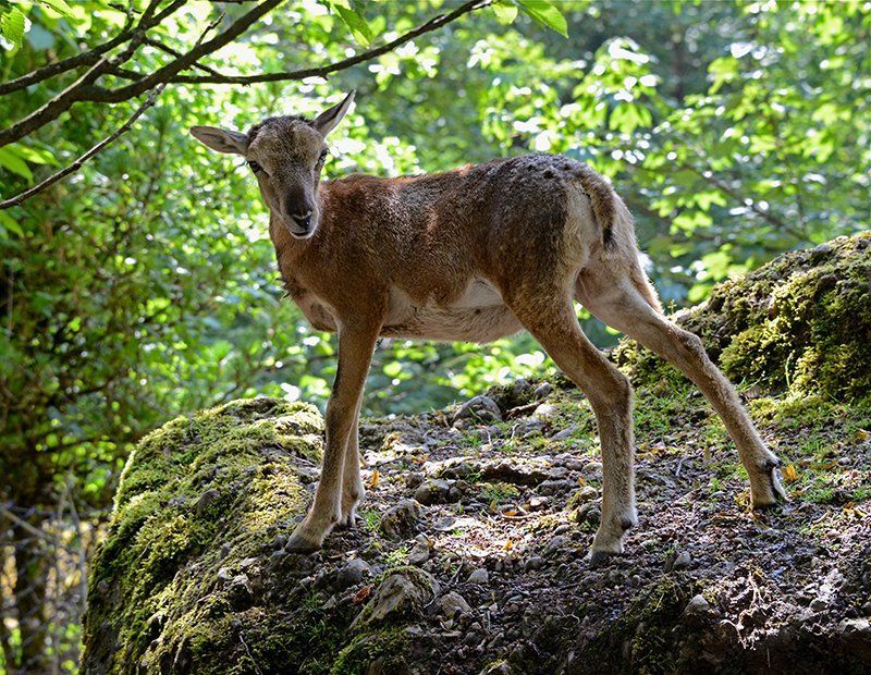 Fotografie Alfons Weber
