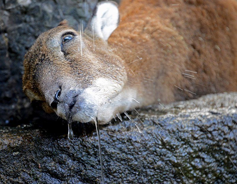 Fotografie Alfons Weber
