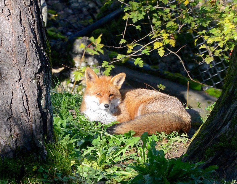Fotografie Alfons Weber
