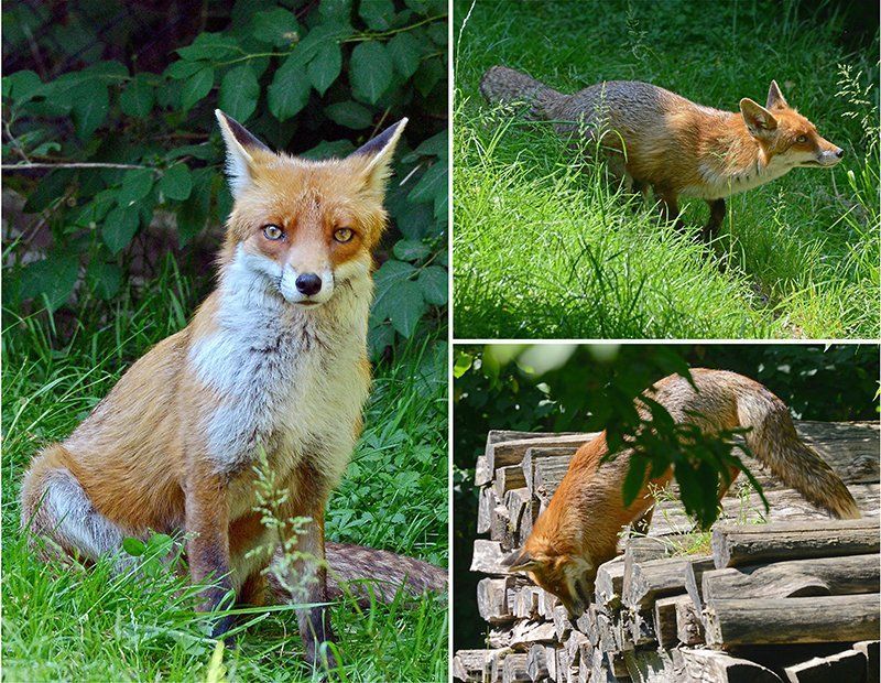 Fotografie Alfons Weber

