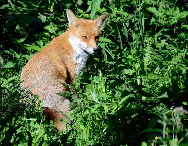 Fotografie Alfons Weber
