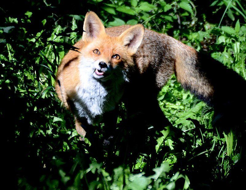 Fotografie Alfons Weber
