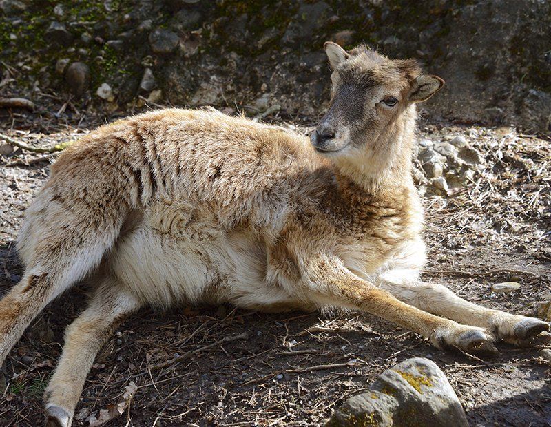 Fotografie Alfons Weber
