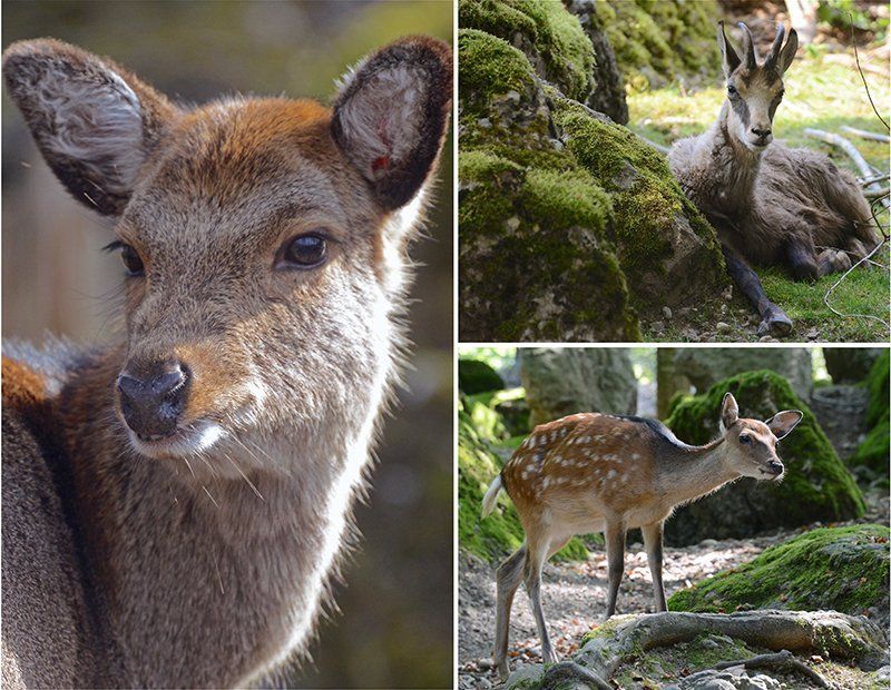 Fotografie Alfons Weber
