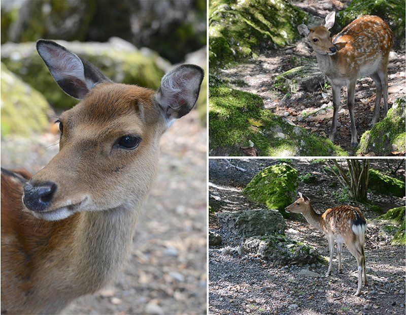 Fotografie Alfons Weber
