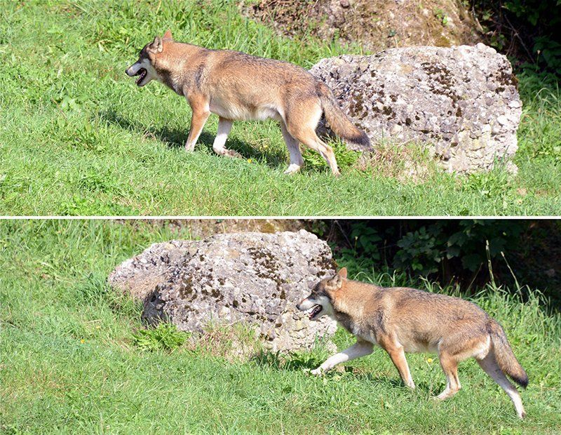 Fotografie Alfons Weber
