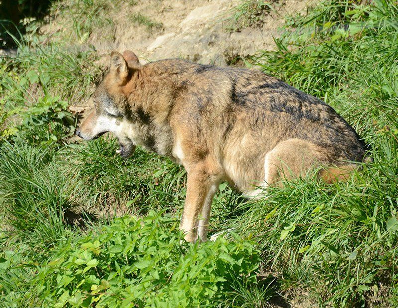 Fotografie Alfons Weber
