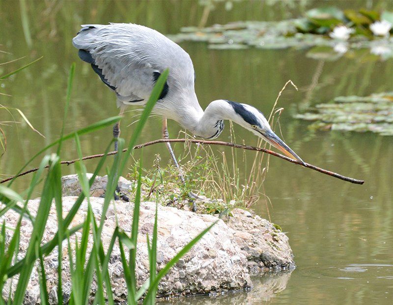Fotografie Alfons Weber
