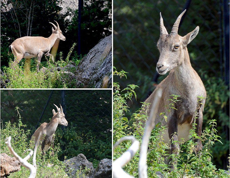 Fotografie Alfons Weber
