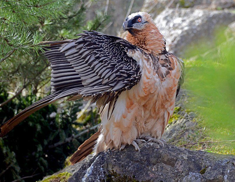 Fotografie Alfons Weber
