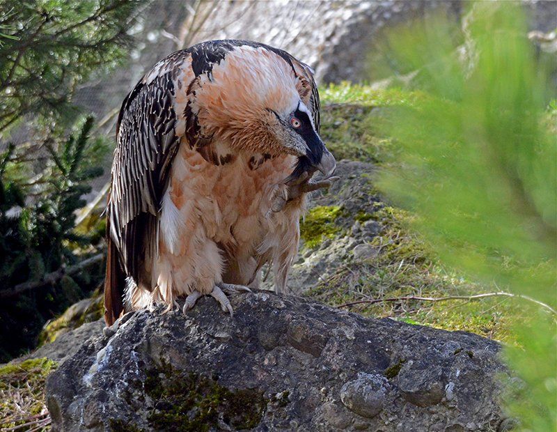 Fotografie Alfons Weber
