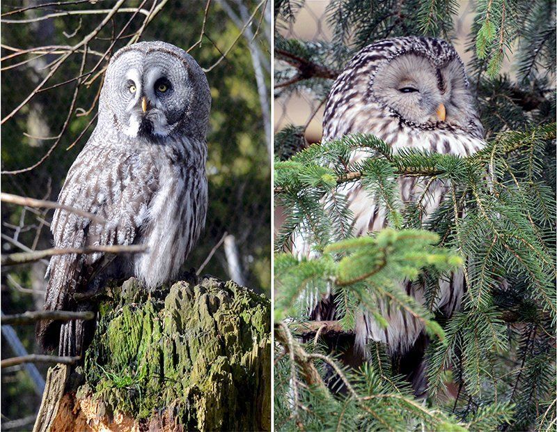 Fotografie Alfons Weber
