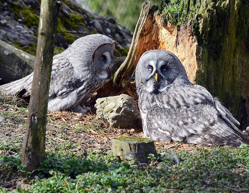 Fotografie Alfons Weber
