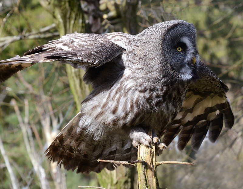 Fotografie Alfons Weber
