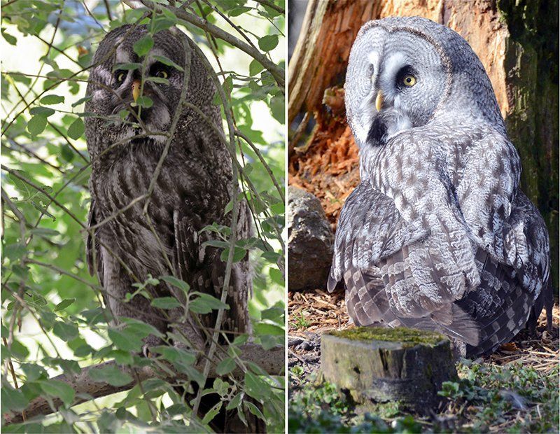 Fotografie Alfons Weber
