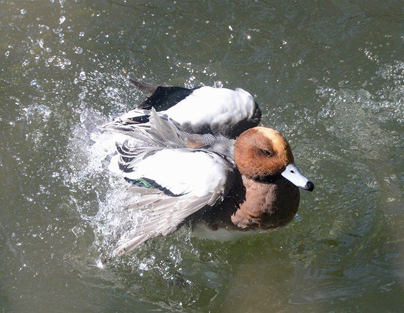 Fotografie Alfons Weber
