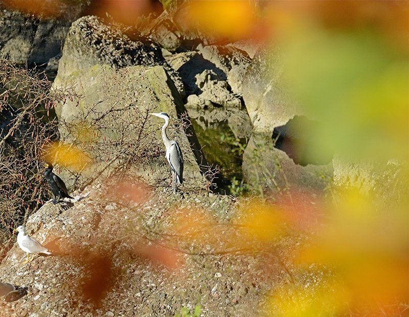 Fotografie Alfons Weber
