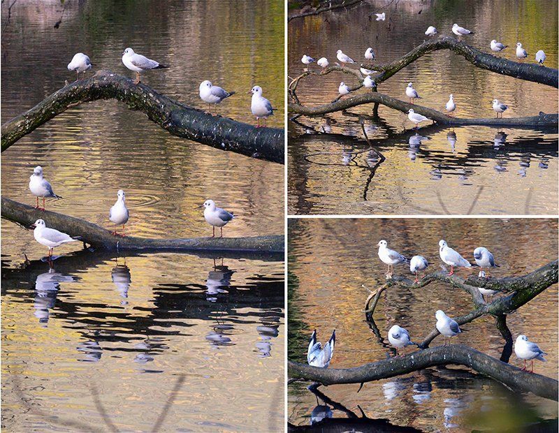 Fotografie Alfons Weber
