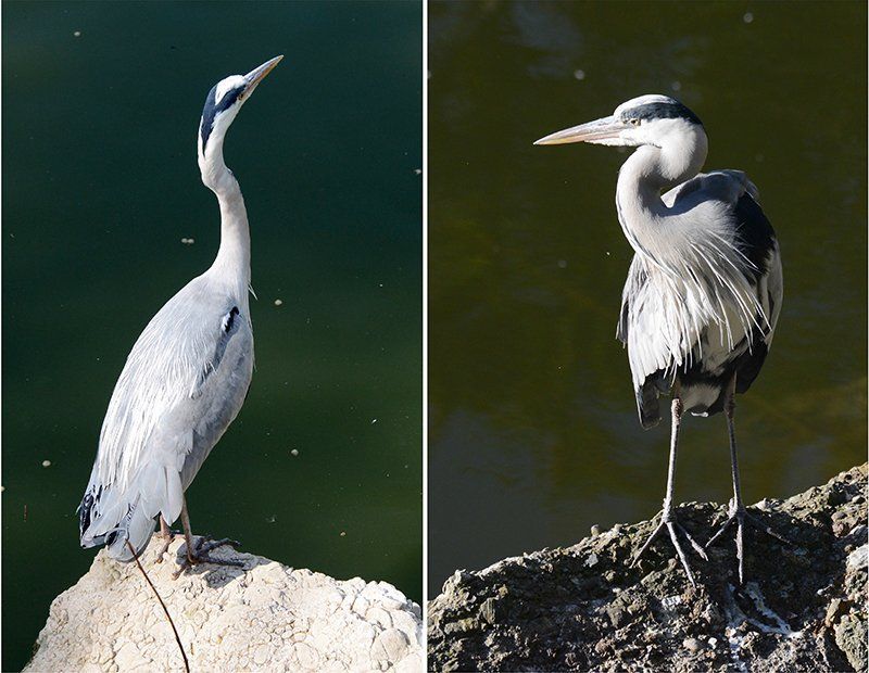 Fotografie Alfons Weber
